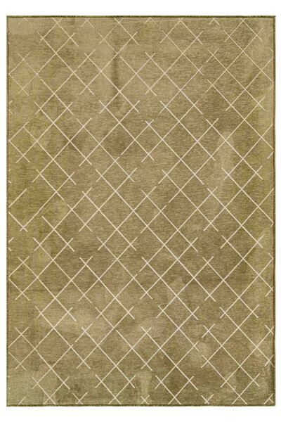 Lorente Home Mia Viscose Woven Carpet Non-Slip Base Washable Green White Living Room Carpet 1403