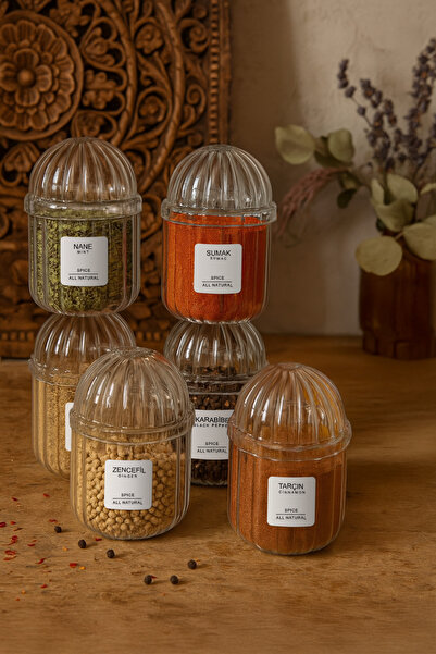 Kitchen Life Saura Set of 6 Mica Spice Jars with Transparent Lids