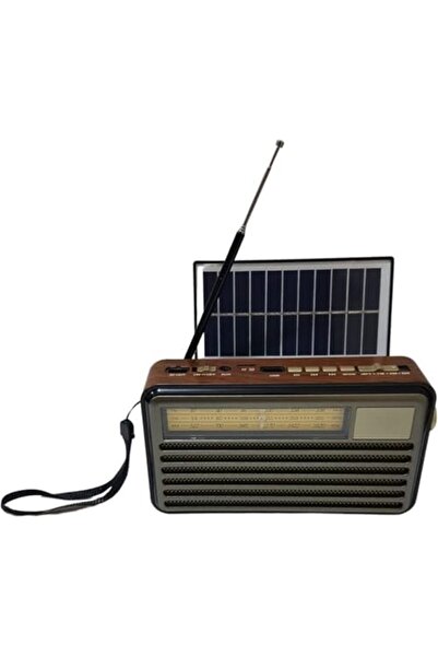 Denx Solar-Powered Bluetooth Radio with LED Flashlight (DX2436)