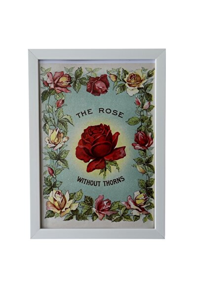 The Rose,Gül Vintage beyaz çerçeveli tablo