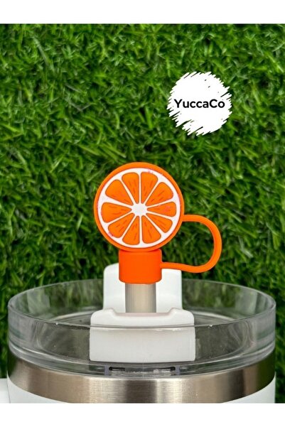 YuccaCo Accessorize Your Life Orange Thermos Straw Ornament/Orange Plant Stra...