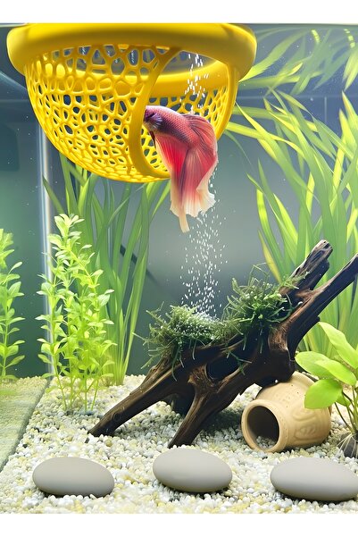 Akvaryum Beta Dinlenme Alanı Beta Yuvası Balık Yavrulugu Balık Yuvası