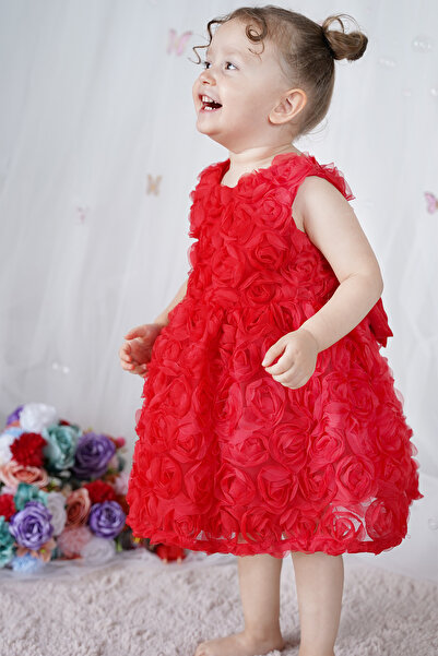 ALYRA Girl's Dress with Rose Bow Birthday Party Wedding Special Occasion Evening Dress Baby Girl Dress