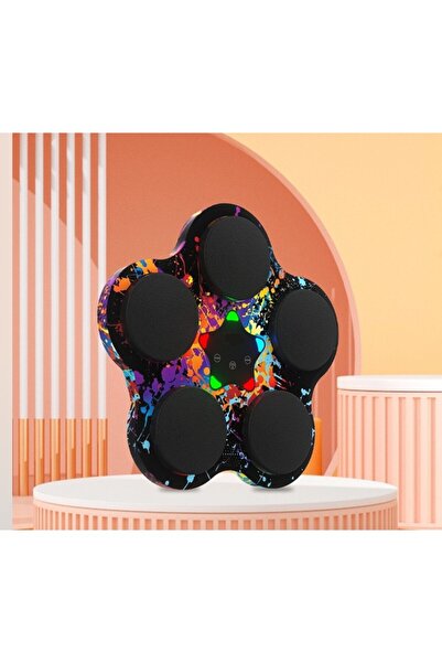 Flippy Boxing Toy with Music & Lights, Bluetooth, USB Charge, Suction Mount, 5 Targets, Black