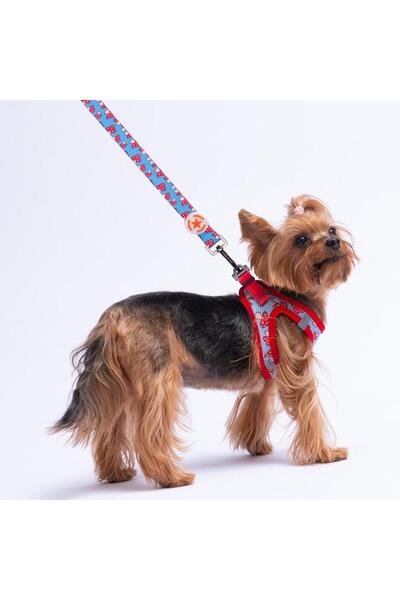 Pawstar Mushroom Leash Mushroom Patterned Cat and Dog Walking & Traveling Strap Dog Extension Collar