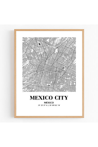 KAYABEY HOME Mexico City Modern Map Design Painting