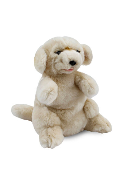 Gülce Design لعبة الفتيات، لعبة الأولاد، دمية جولدن ريتريفر، 30 سم، ألعاب تعل...