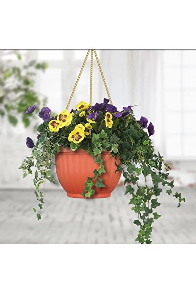SH Two hanging planter