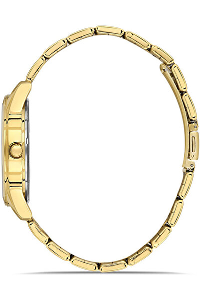DAVID GUNER David Güner Kol Men's Watch Dg-8778Ga-B1