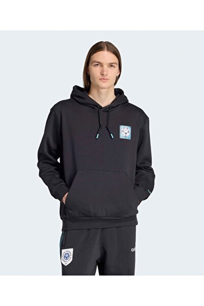 adidas Graphic Hoodie