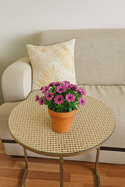 Rona Home Gold Desenli 3’lü Sehpa Örtüsü Takımı Yıkanabilir PVC Çeyizlik Kolay Temizlenen Klasik Lüks Model