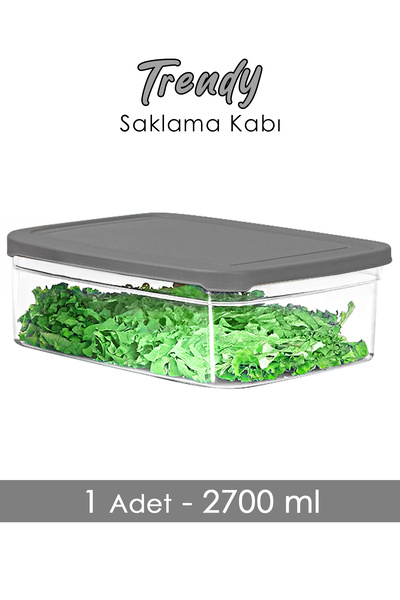 Meleni Home 1 Piece Rectangular Food Storage Container - Microwave Safe Organizer 2700 ml Gray