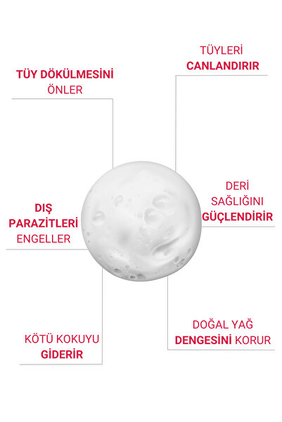 Petiola Tüy Dökülmesini Önleyici ve Tüy Sağlığını Destekleyici Kedilere Özel Kuru Bakım Şampuanı