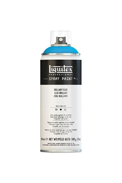 Liquitex طلاء بخاخ داخلي وخارجي متعدد الأغراض 400 مل