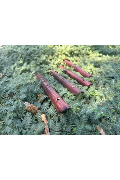 flut Flüt Çocuklar için geliştirici fülüt altı delikli dilli kaval