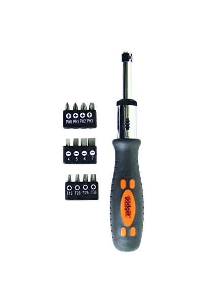 Gadget Set capete de insurubare, mixte, 13 bucati, surubelnita cu clichet,
