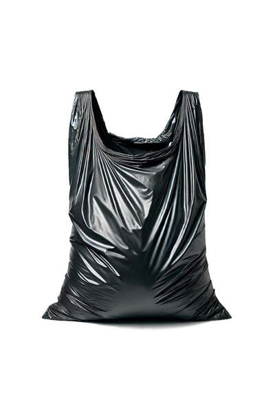 GEKO Set de saci de gunoi pentru construcții, 160L, 10 bucăți, G71271