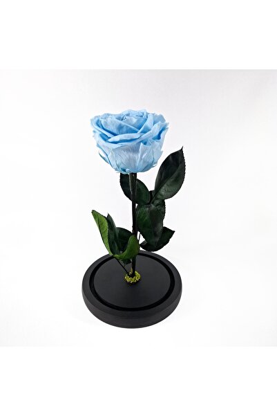 OEM Trandafir criogenat Premium in cupola de sticla, 25cm