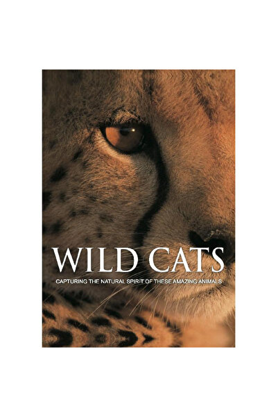 Parragon Wild Cats - Capturing The Natural Spirit