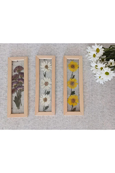 Store 3'lü ahşap set kurutulmuş papatya