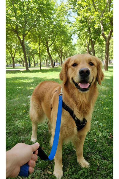 Zirve Tasma Köpek Tasması Uzatma (Sadece Tasmaya Takılan Uzatma Dahildir.)