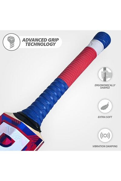 DSC intense Zeal Kashmir Willow Cricket Bat for Leather Ball |Size- Harrow | Free Cover|