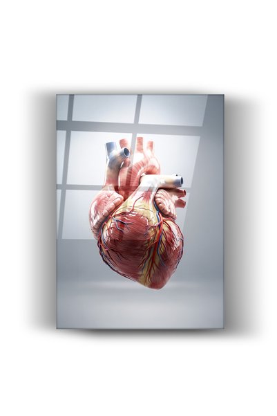 Nooraa Portret de inimă didactic pentru domeniile medicale - Tablou din sticl...