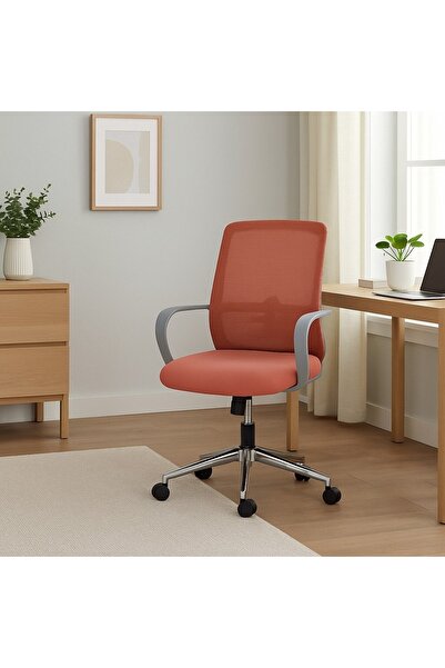 RFAN Modern Design Ergonomic Office Chair, Pink