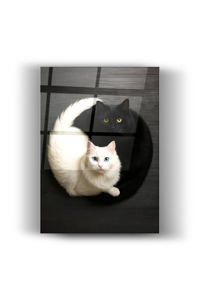 Nooraa Armonia pisicii negre și a pisicii albe - Tablou decorativ modern și e...