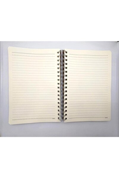 Gıpta Notebook 17*24 Spr Hard Cover 100 Pages Lined