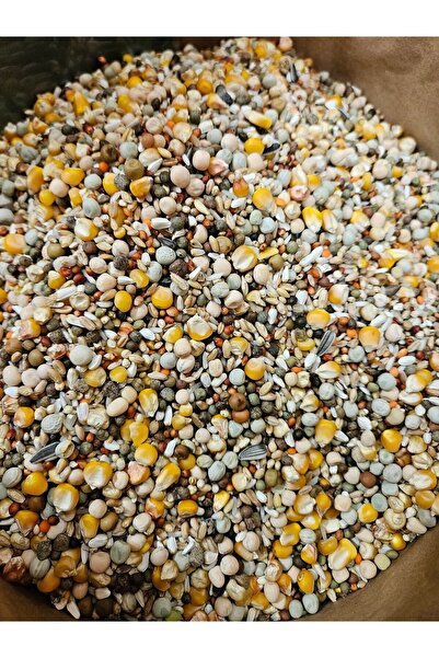 Uludağ 4 mevsim güvercin yemi