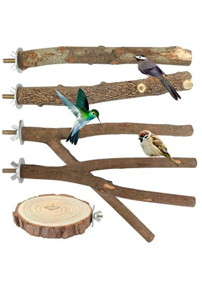 Alyones Doğal Ahşap Kuş Tüneği Seti – 5 Adet, 20 cm, Papağan ve Küçük Kuşlar için Güvenli