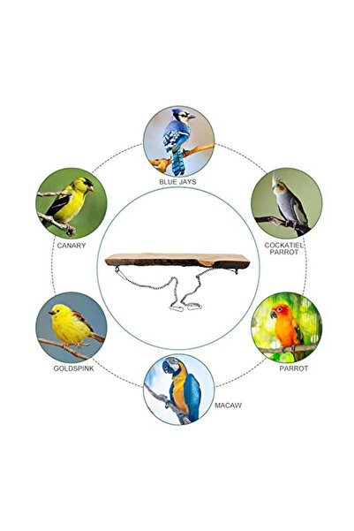 Alyones Dilireba Natural Wooden Bird Perch – Natural Branch for Parrots, Budgies and Canaries