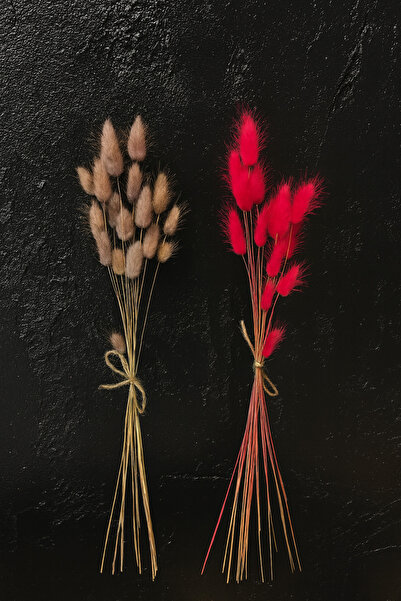 ÇINARASYADAHOME باقة من عشب ذيل الأرنب الطبيعي المجفف باللونين الوردي والرماد...