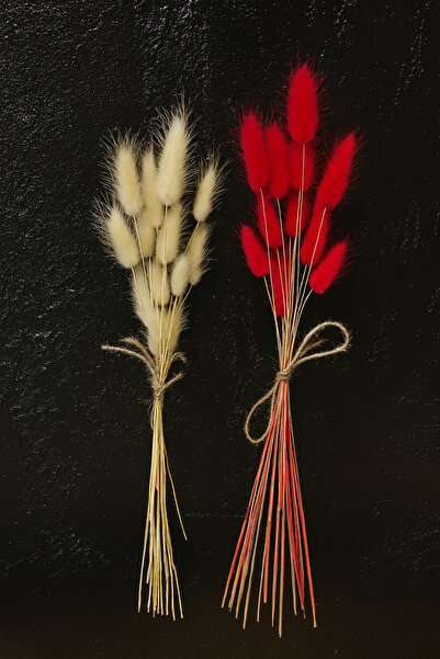 ÇINARASYADAHOME Buchet de iarbă naturală uscată de coadă de iepure alb-roz 2 ...