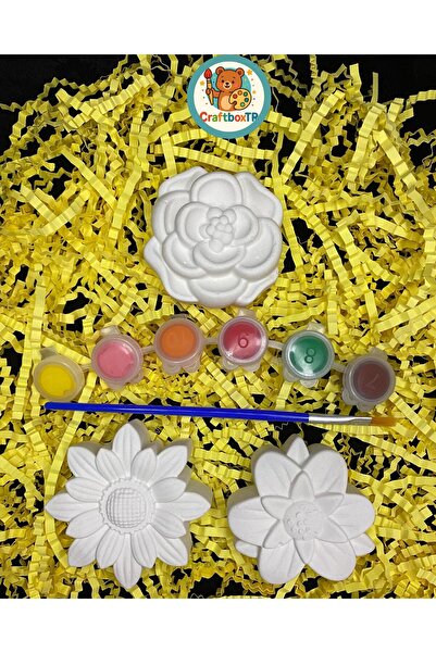 CRAFTBOXTR ÇİÇEKLER EĞLENCELİ TAŞ BOYAMA SETİ/Kendin Yap, Doğum Günü, Karne,E...