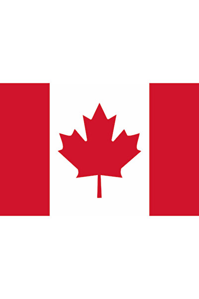 Vision XXI Steag Canada, 150x90cm, Poliester,