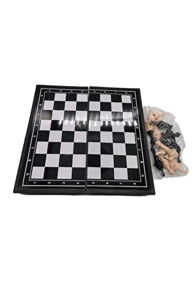 Vision Set de șah magnetic 13,5x13,5 cm, 32 piese, Travel, VisionXXI