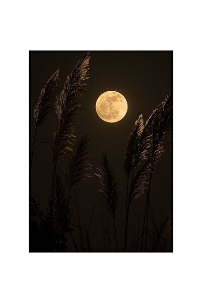 OEM Tapet Premium Canvas, Full Moon Landscape with Wheat, 120x180 cm