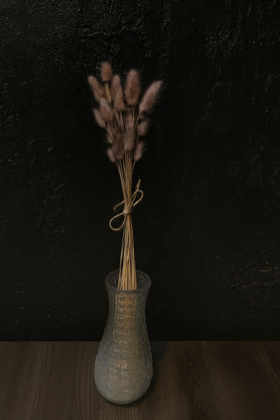 ÇINARASYADAHOME Gri Renkli Doğal Kurutulmuş Tavşan Kuyruğu Otu Buketi 1 Demet...