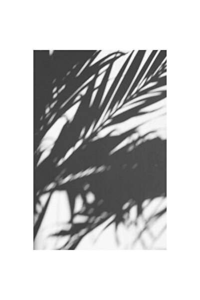 OEM Tablou Canvas Premium, Abstract alb negru umbra plante, 30 x 20 cm