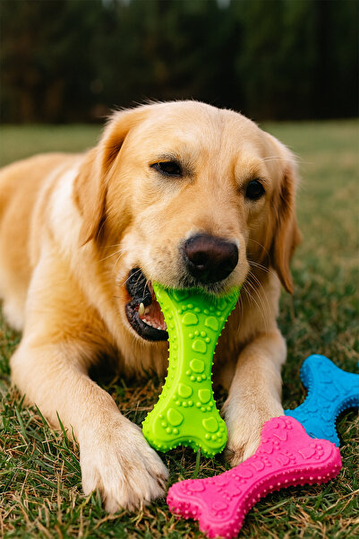 SİLVERROOM Kemik Şekilli Köpek Diş Kaşıma Isırma Aparatı Köpek Kemiği