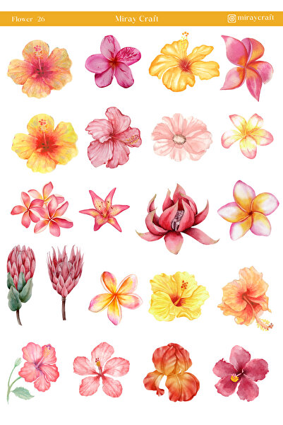 MirayDesign 1 Sayfa Çiçek Temalı 12*17 cm Sticker /Scrapbook, Bullet Journal,...