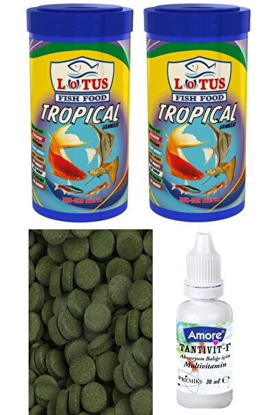 Lotus Tropikal Mix 2x250ml Kutu Granül, Spirulina Tablet 12 adet Lepistes Moli Balık Yemi, Multivitamin