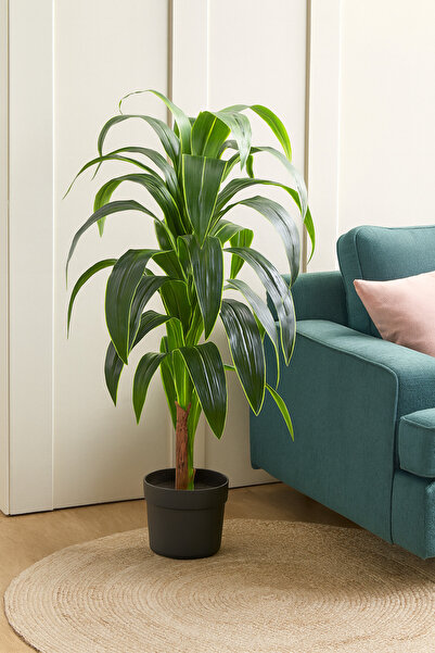 DRAMA HOME شجرة دراسينا صناعية بارتفاع 120 سم – أوراق خضراء طبيعية الملمس – م...