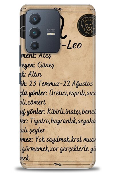 Rulet Aksesuar Vivo V23 5g Compatible Hd Printed Silicone Case + Ceramic Scre...