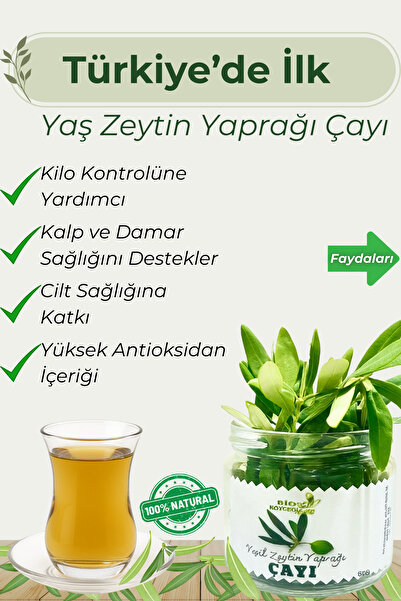 BİO KÖYCEĞİZDEN SOFRANIZA Yaş Zeytin Yaprağı Çayı | Köyceğiz'den %100 Doğal Detox Bitki Çayı • Güçlü Antioksidan