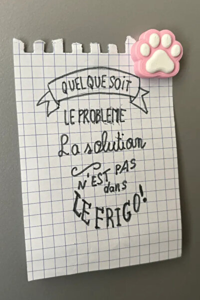 Genç 3D Kedi Patili Magnet | Güçlü Neodyum Mıknatıs | Karışık Renk | Buzdolabı ve Pano İçin | 8 ADET