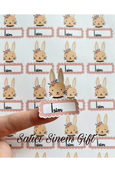 Sinem Gift 60 Adet İsimli Okul Etiketi -İsimli Defter , Kitap Etiketi- Yapışkanlı Etiket