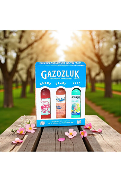 Gazozluk Genç 6'lı Karma Kutu B